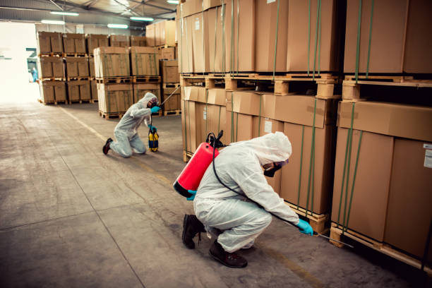 Wasp Removal Services in State College, PA
