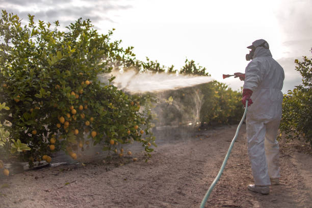 Best Mosquito Control Services  in State College, PA