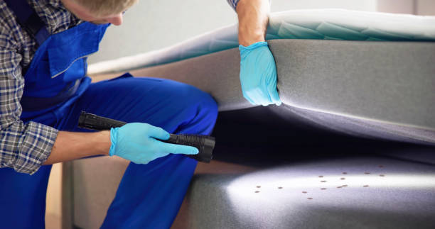 Professional Pest Control in State College, PA