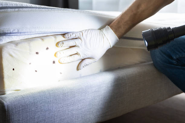 Best Commercial Pest Control Services  in State College, PA